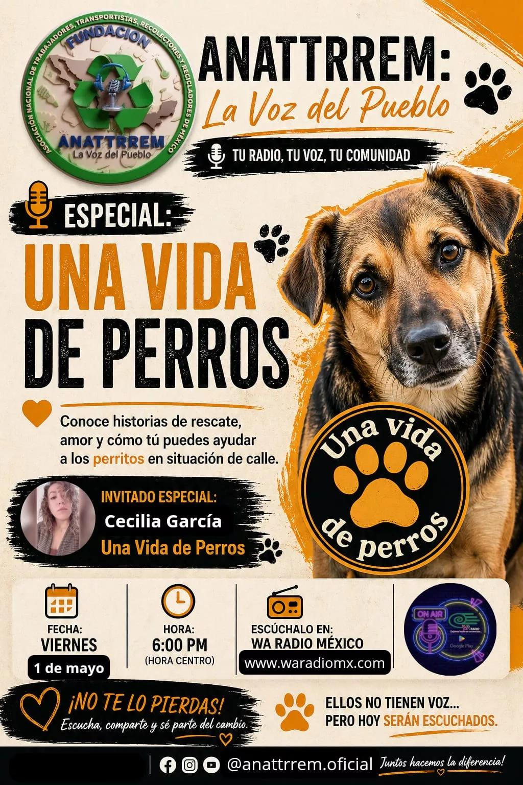 UNA VIDA DE PERROS